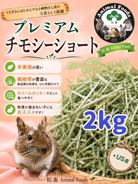 ptmt2kg