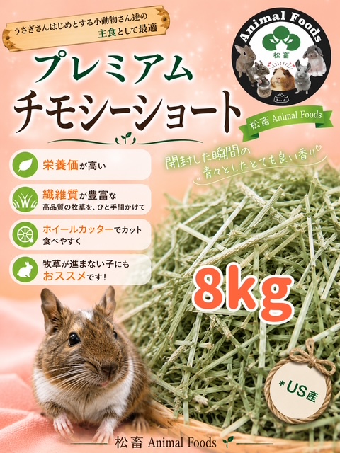 ptmt8kg